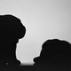 Illustration for article titled Shooting Challenge Silhouettes Gallery 1